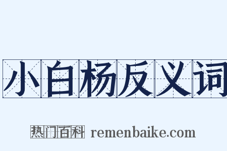 小白杨反义词是什么意思的图片